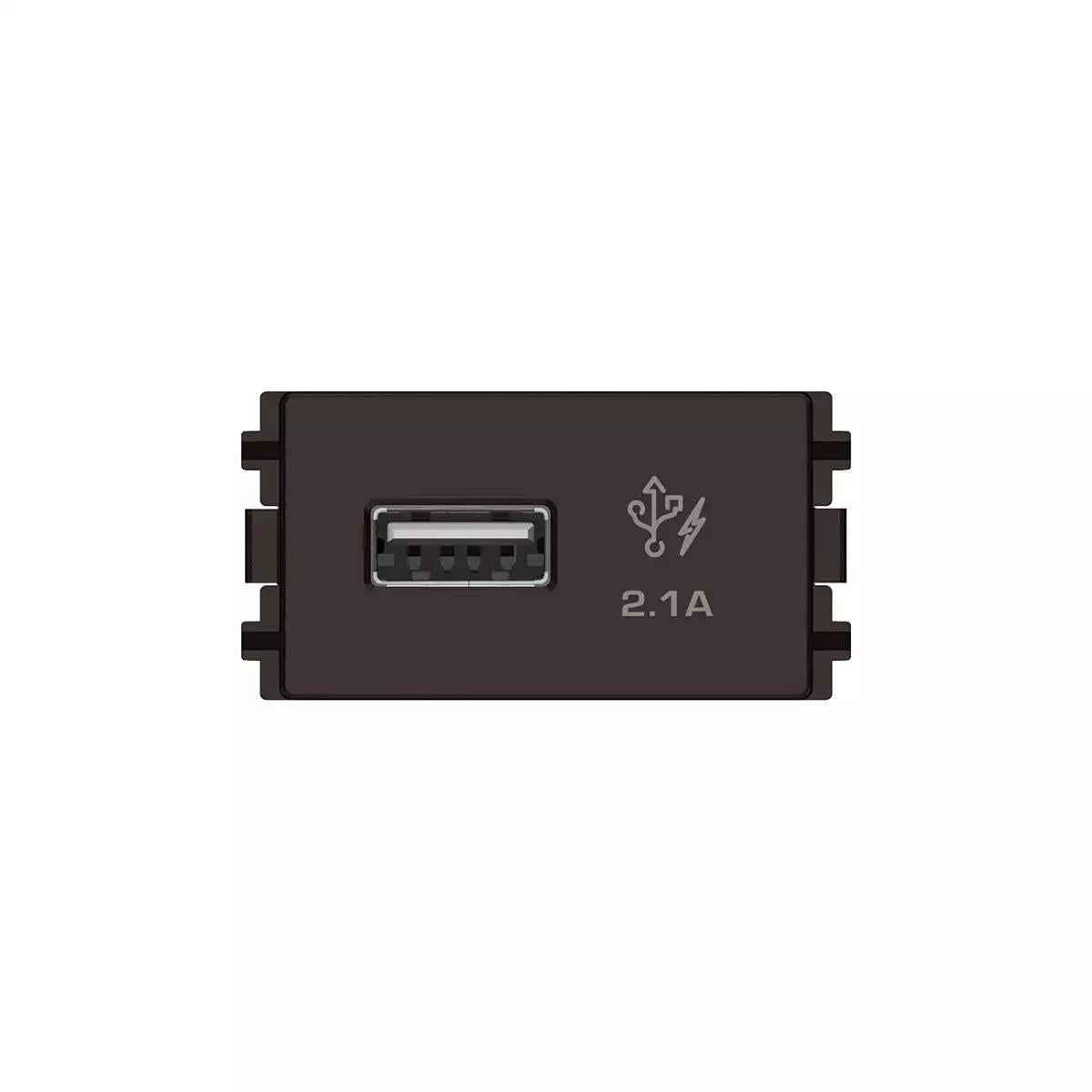 1 Port 2.1A USB, 1 Module Size, Bronze