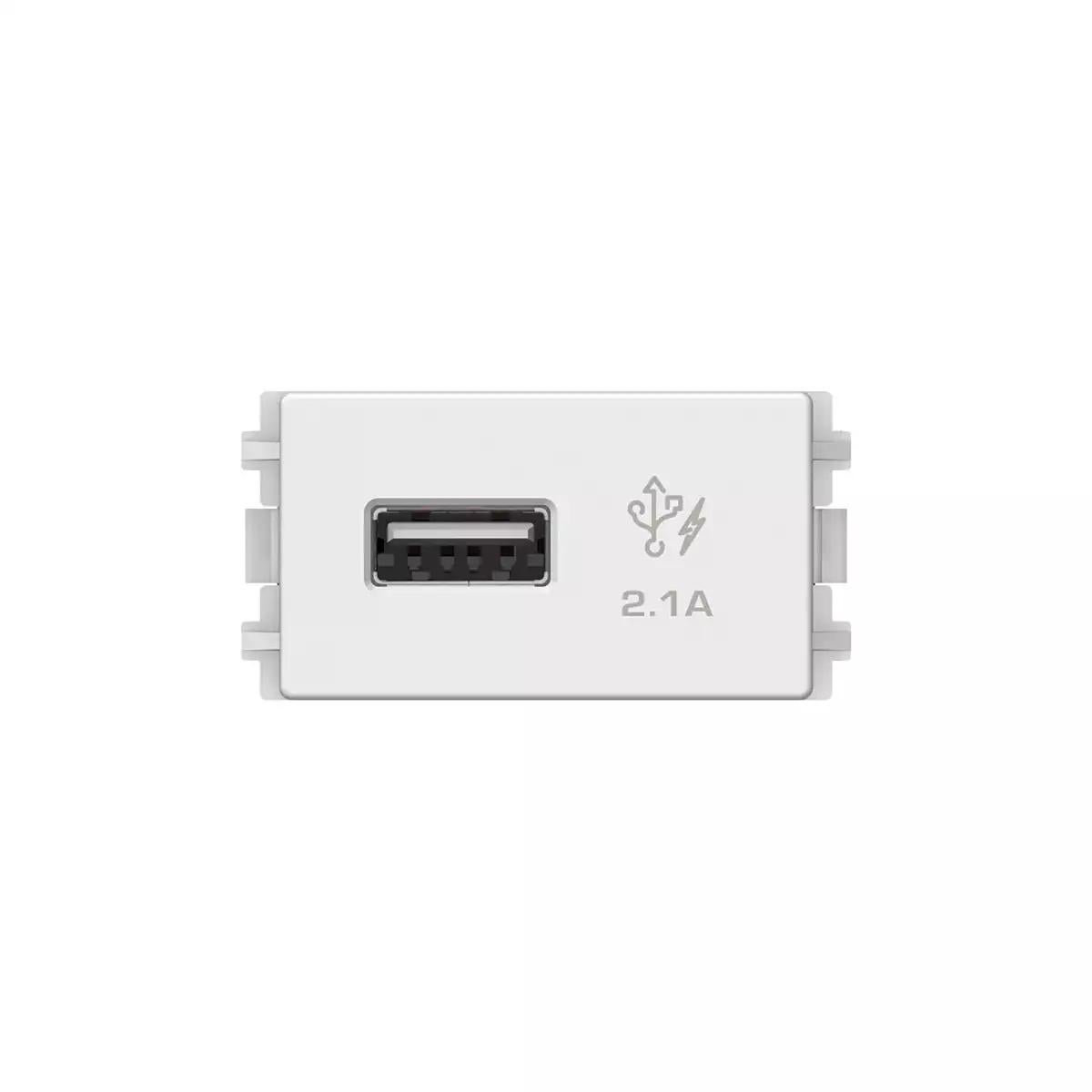 1 Port 2.1A USB, 1 Module Size, White