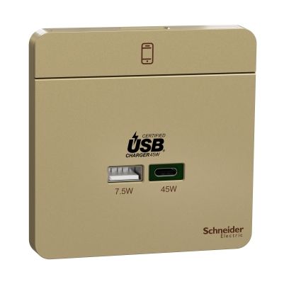 USB Charger, AvatarOn, Type A+C, 45 W, Wine gold