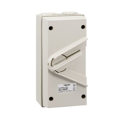Kavacha - 63A - 440V - Surface Mount Double Pole Isolating Switch - IP66