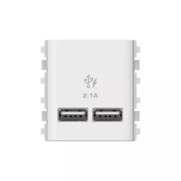 2 Ports 2.1A USB, 2 Modules Size, White
