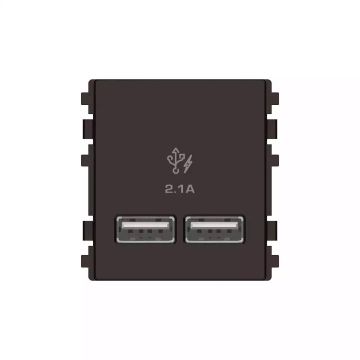 2 Ports 2.1A USB, 2 Modules Size, Bronze