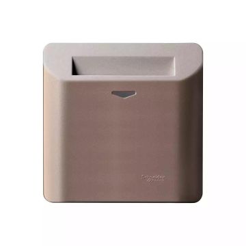 Electronic Key Card Time Delay Switch, Sliver Bronze
