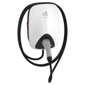 Charging station, EVlink Home, 1P+N, attached cable 5m, 3.7kW, 16A, with RDC-DD