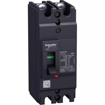 circuit breaker EasyPact EZC100H - TMD - 25 A - 2 poles 2d