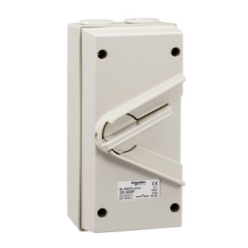Kavacha - 35A - 440V - Surface Mount Double Pole Isolating Switch - IP66