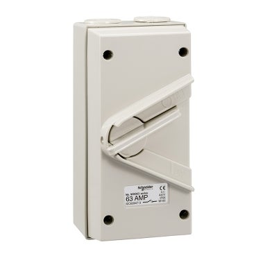 Kavacha - 63A - 440V - Surface Mount Double Pole Isolating Switch - IP66